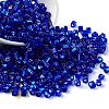 Glass Seed Beads SEED-M011-01A-10-1