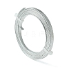 Textured Aluminum Wire X-AW-R003-2m-01-1