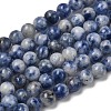 Natural Blue Spot Jasper Beads X-GSR4mmC036-4