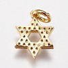 Brass Micro Pave Cubic Zirconia Charms ZIRC-E145-56G-2