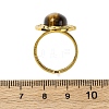 Oval Natural Tiger Eye Finger Rings RJEW-M063-01G-11-3