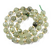 Natural Prehnite Beads Strands G-T131-78A-2