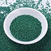 MIYUKI Delica Beads SEED-MY11-DB0656-2
