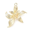 Brass Pendants KK-G601-05G-07-1