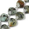 Natural African Turquoise(Jasper) Beads Strands G-D316-A03-2