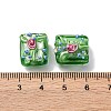 Handmade Lampwork Beads LAMP-K042-04-3