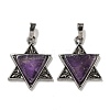 Natural Amethyst Pendants G-G147-08AS-07-1