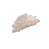 Cellulose Acetate(Resin) Claw Hair Clips PW-WG77B02-01-2