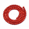 Natural Freshwater Shell Beads Strands SHEL-N003-24-B05-2