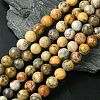 Natural Crazy Lace Agate Round Bead Strands G-M272-03-10mm-1