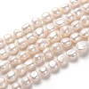 Natural Cultured Freshwater Pearl Beads Strands PEAR-L033-40-1