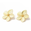 Rack Plating Brass Stud Earrings EJEW-B062-18G-1