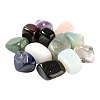 12Pcs No Hole/Undrilled Natural Gemstone Beads G-FS0001-28-2