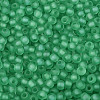 FGB Frosted Transparent Glass Seed Beads SEED-N013-02A-09-3