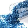 TOHO Round Seed Beads SEED-XTR15-0932-1