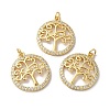 Rack Plating Brass Micro Pave Clear Cubic Zirconia Pendants KK-F853-09G-3