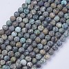 Natural African Turquoise(Jasper) Beads Strands G-D809-01-4mm-1