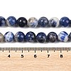 Natural Sodalite Beads Strands G-S279-10-8mm-6