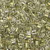 Transparent Inside Colours Glass Seed Beads SEED-T007-13O-2