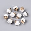 Natural Howlite Pendants G-N359-18G-14-1