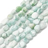 Natural Glass Beads Strands G-K395-A02-02-2