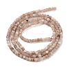 Natural Peach Moonstone Beads Strands G-B093-C01-01-4