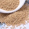 MIYUKI Delica Beads SEED-MY11-DB0389-1