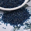 MIYUKI Delica Beads SEED-MY11-DB1763-1