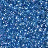 6/0 Round Glass Seed Beads SEED-US0003-4mm-163-2