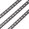 Beadthoven Hotfix with Two Rows Rhinestone DIY-BT0001-30-8