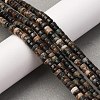 Natural Biotite Beads Strands G-L624-I12-2x4mm-1