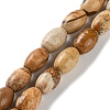 Natural Picture Jasper Beads Strands G-I369-B04-01-1