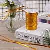 100M Polyester Ribbons with Spool SRIB-GF0001-34C-6