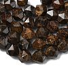 Natural Bronzite Beads Strands G-Z119-A30-02-5