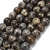 Natural Astroite Jasper Beads Strands G-F814-A01-8mm-2