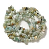 Natural Amazonite Chips Beads Strands G-M205-12-01-3
