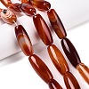 Natural Agate Dyed Beads Strands G-T138-230E-1