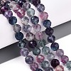 Natural Rainbow Fluorite Beads Strands G-S345-8mm-29-2