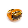 Oval 304 Stainless Steel with Natural Tiger Eye Finger Rings FS-WGC5475-04-2
