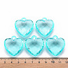 Transparent Acrylic Pendants LS-TACR-T024-03B-946-4