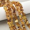 Natural Amber Beads Strands G-L095-D01-01-1