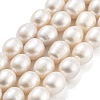 Natural Cultured Freshwater Pearl Beads Strands PEAR-P062-13E-X-2