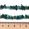 Natural HuBei Turquoise Bead Strands G-H345-A01-08-5