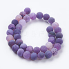 Natural Weathered Agate Beads Strands X-G-G589-10mm-06-2