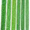 Electroplate Glass Beads Strands LS-EGLA-A044-T4mm-A11-2