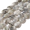 Natural Labradorite Beads Strands G-I377-A21-2