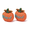 Halloween Food Grade Eco-Friendly Silicone Focal Beads SL-CBAECCD-03B-2