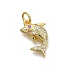 Brass Micro Pave Cubic Zirconia Pendants KK-Z093-03G-1