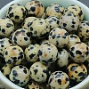 Natural Dalmatian Jasper Crystal Ball PW-WG45243-09-1