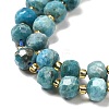 Natural Apatite Beads Strands G-P508-A15-01-4